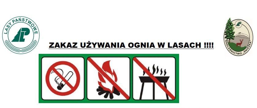 Pelenie ognia w lesie jest zabronione