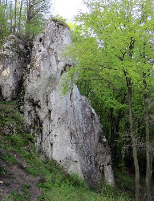 Łabajowa Baszta