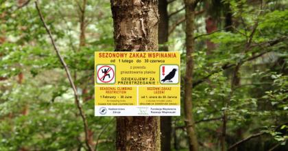 Sezonowe ograniczenie dostępu do skały Kruk w szczytnickich Orlich Skałach